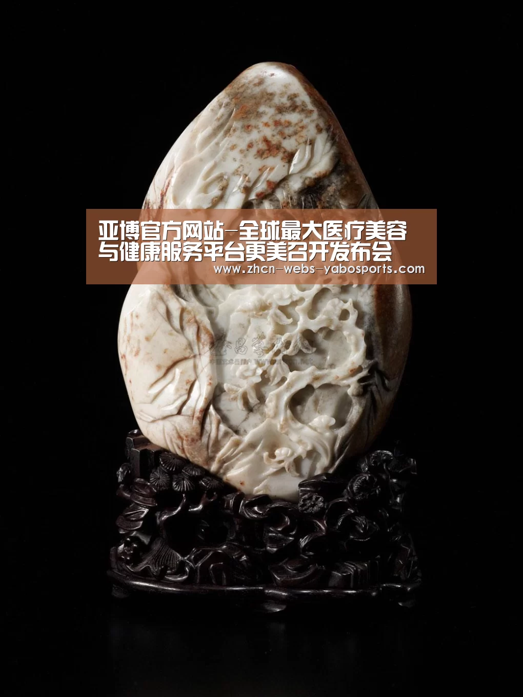亚博官方网站-全球最大医疗美容与健康服务平台更美召开发布会